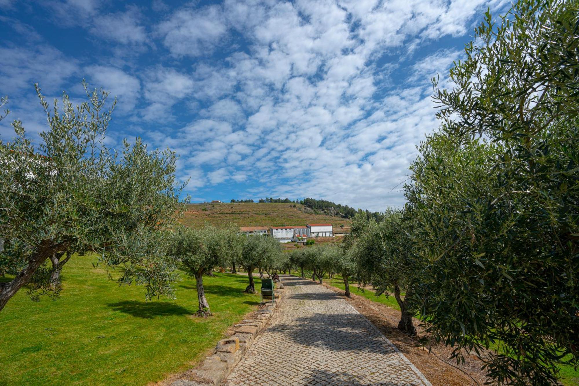 Valonquinta - Agro Hotel & Spa Vila Flor Exteriér fotografie