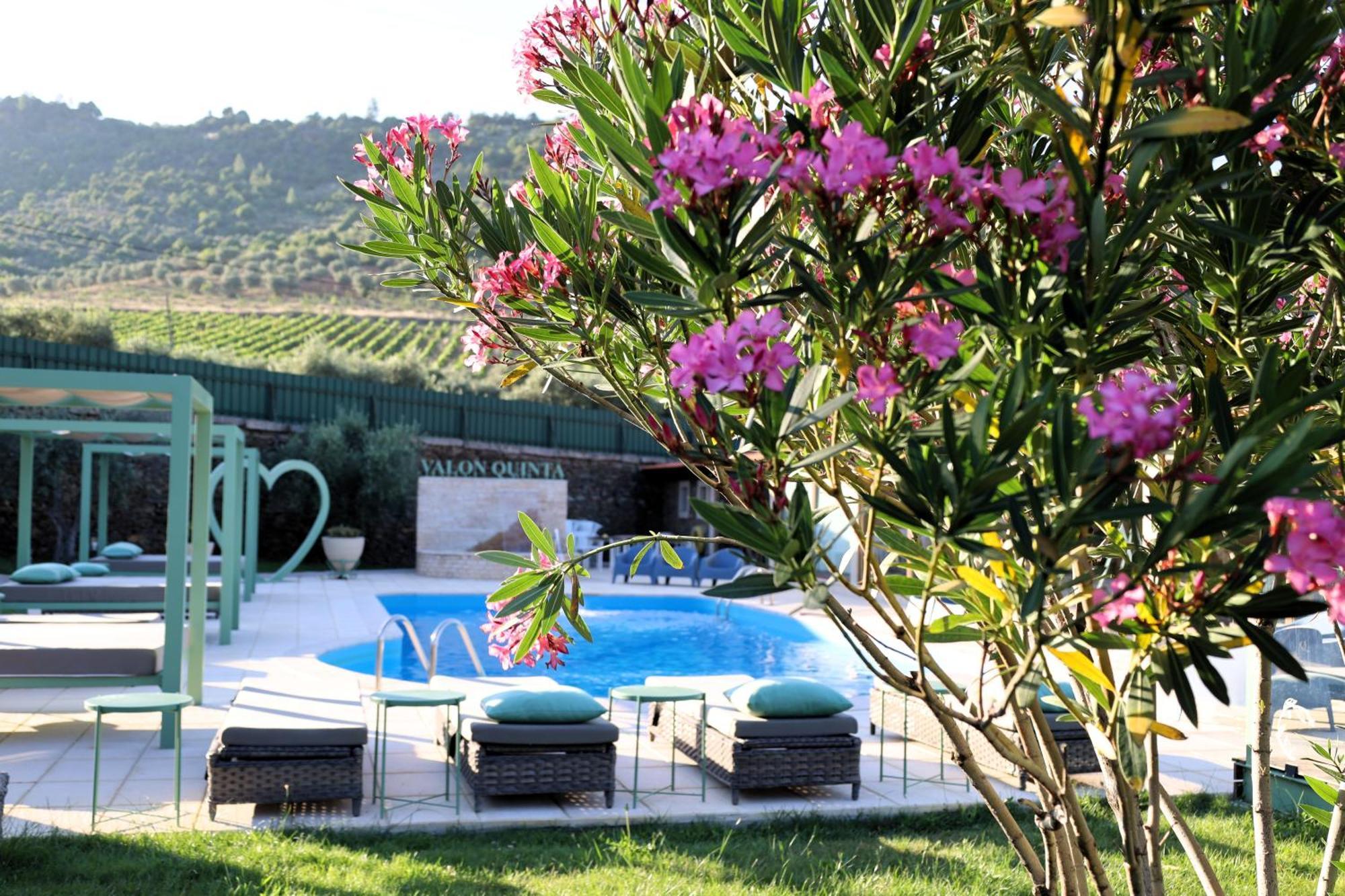 Valonquinta - Agro Hotel & Spa Vila Flor Exteriér fotografie